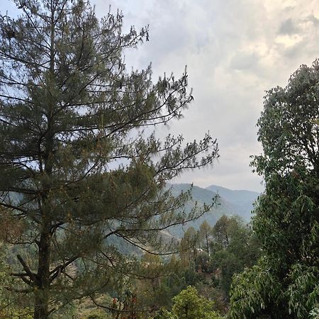 Himwanderer Camps & Cottages Pangot Nainital Zewnętrze zdjęcie