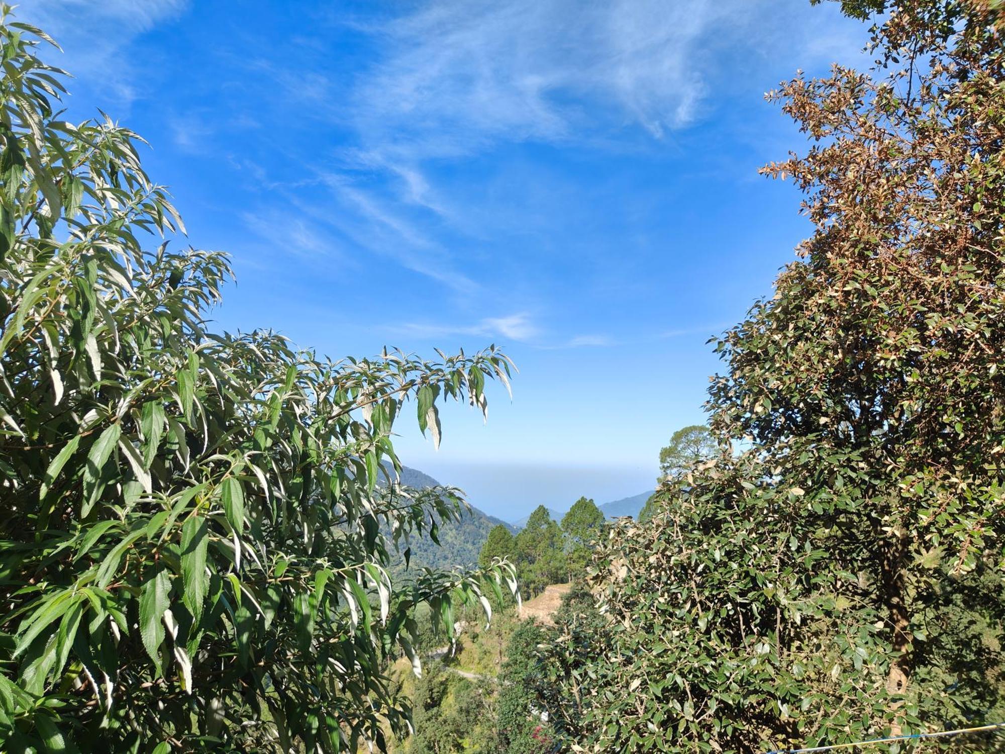 Himwanderer Camps & Cottages Pangot Nainital Zewnętrze zdjęcie