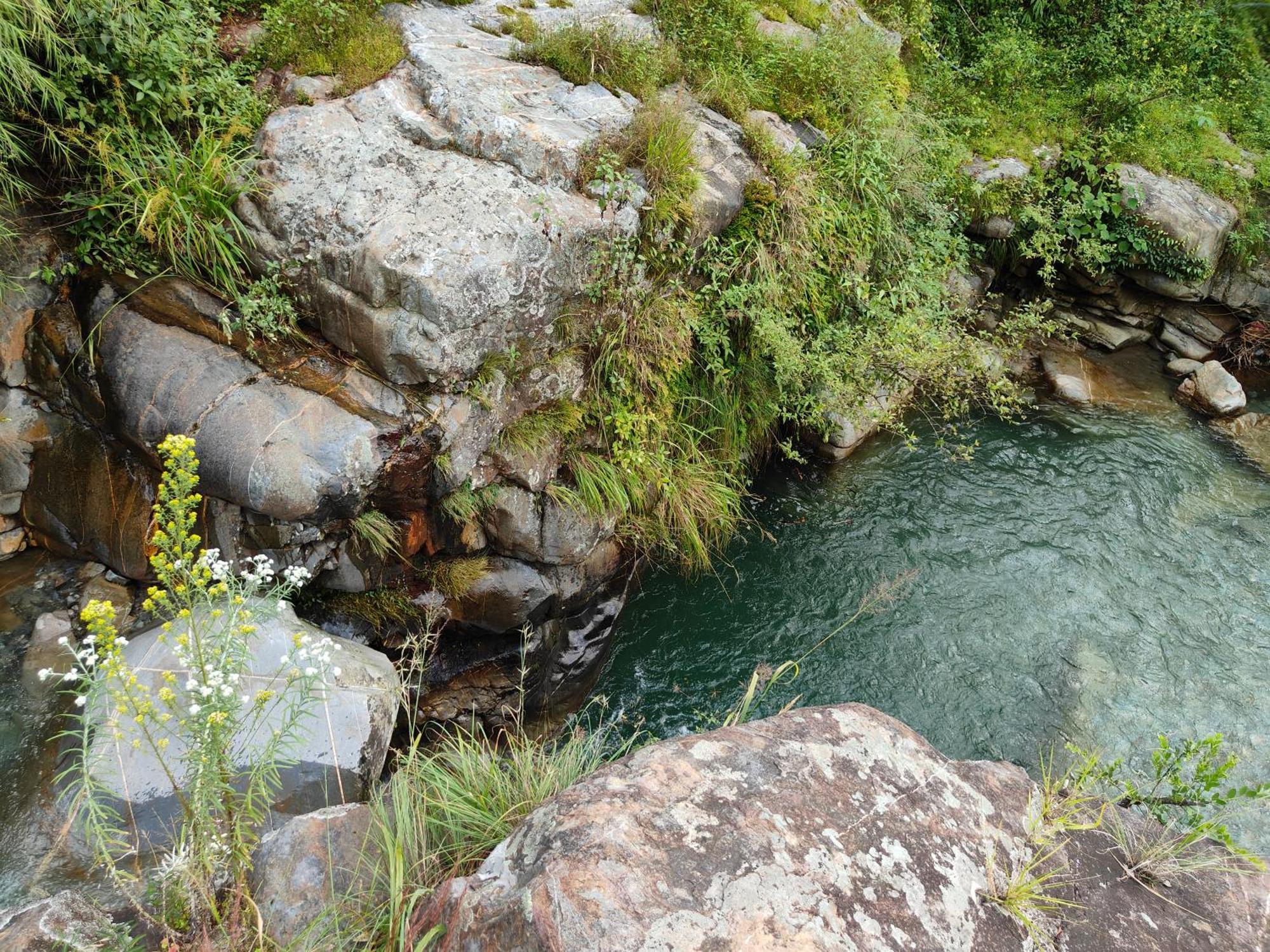 Himwanderer Camps & Cottages Pangot Nainital Zewnętrze zdjęcie