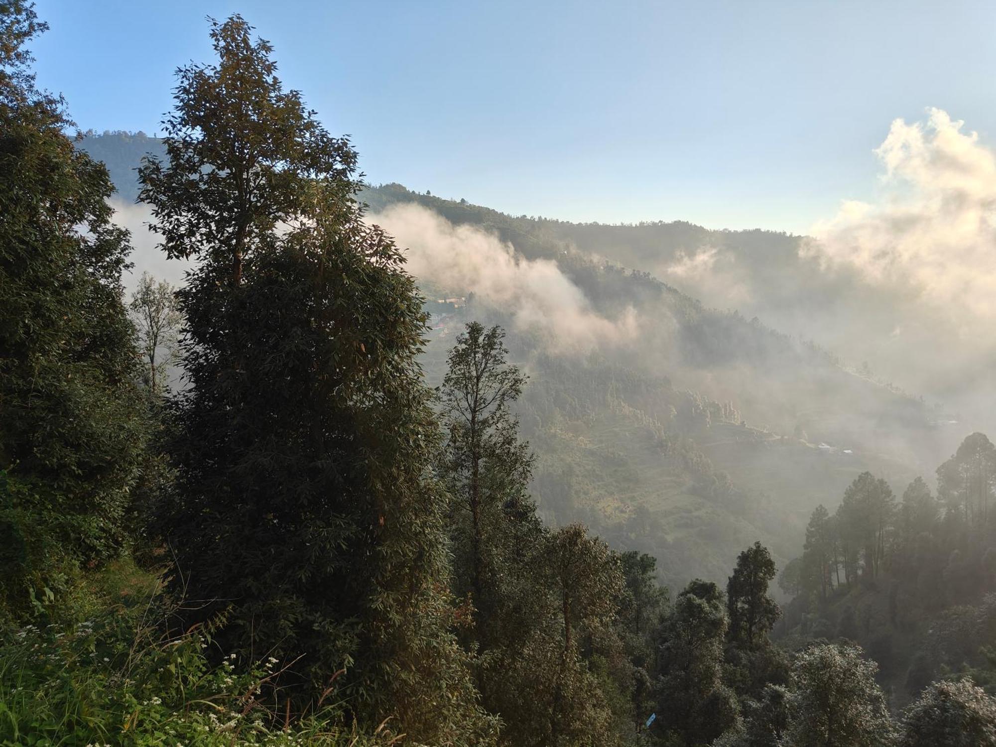 Himwanderer Camps & Cottages Pangot Nainital Zewnętrze zdjęcie