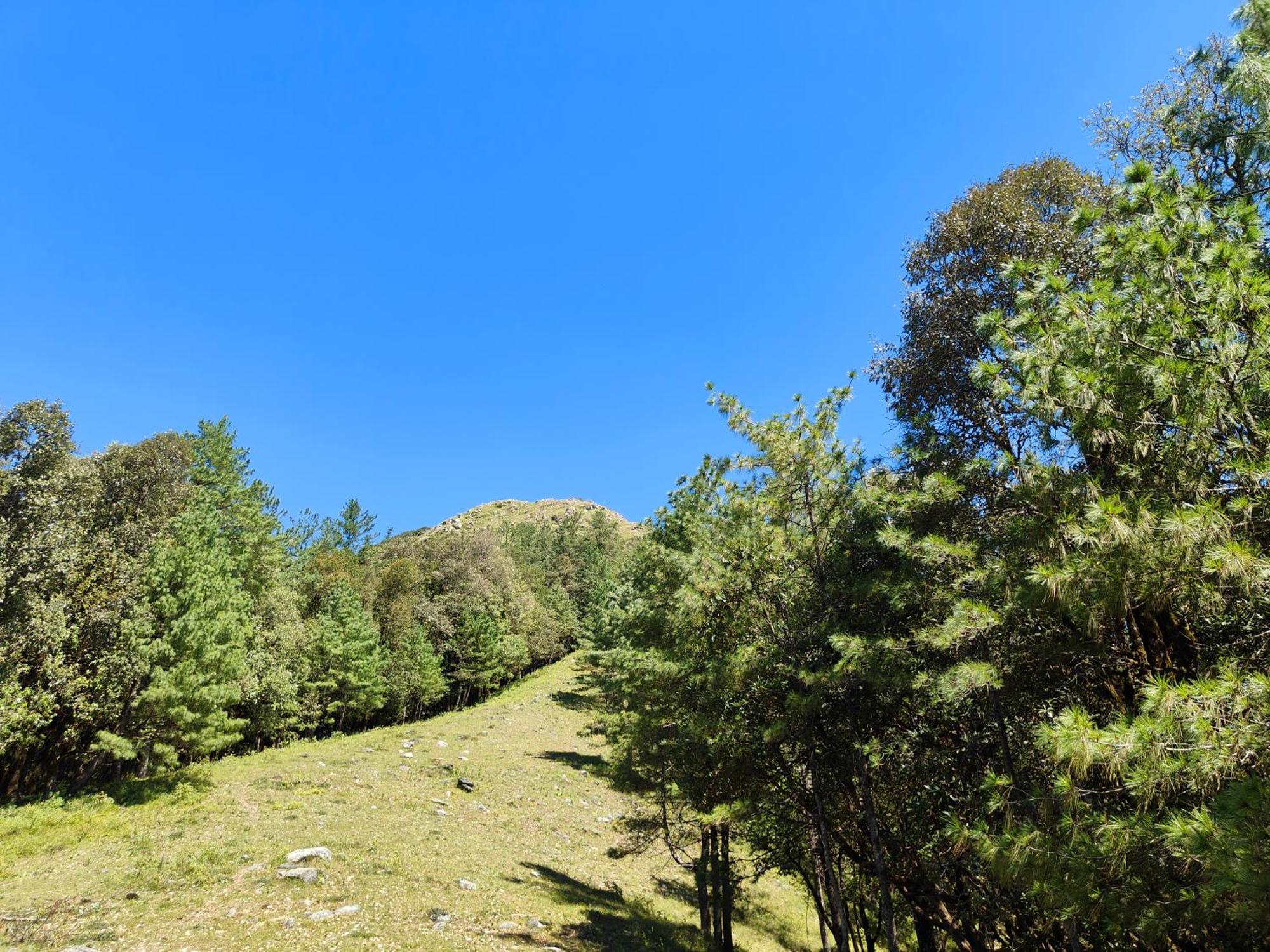 Himwanderer Camps & Cottages Pangot Nainital Zewnętrze zdjęcie