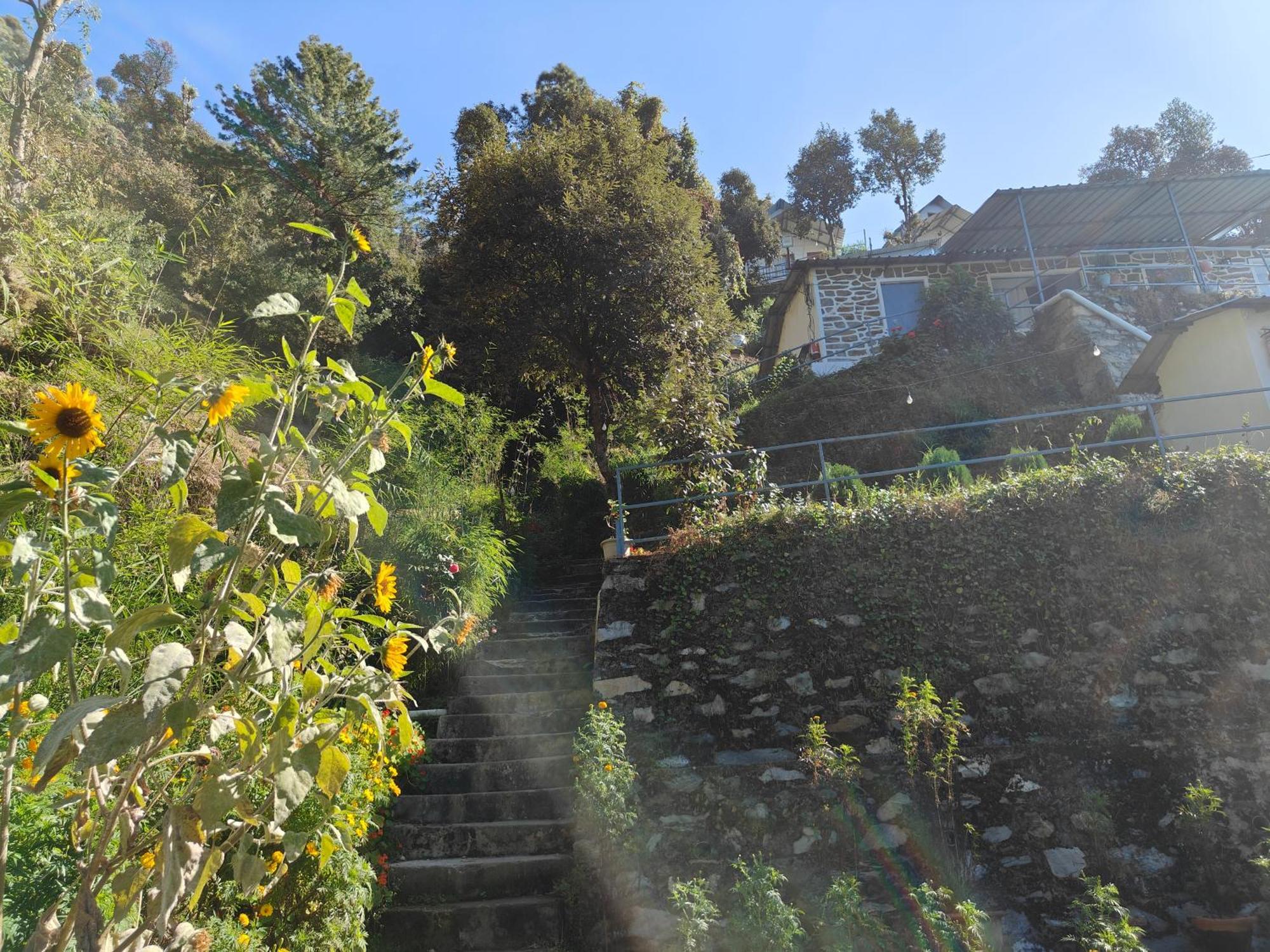 Himwanderer Camps & Cottages Pangot Nainital Zewnętrze zdjęcie
