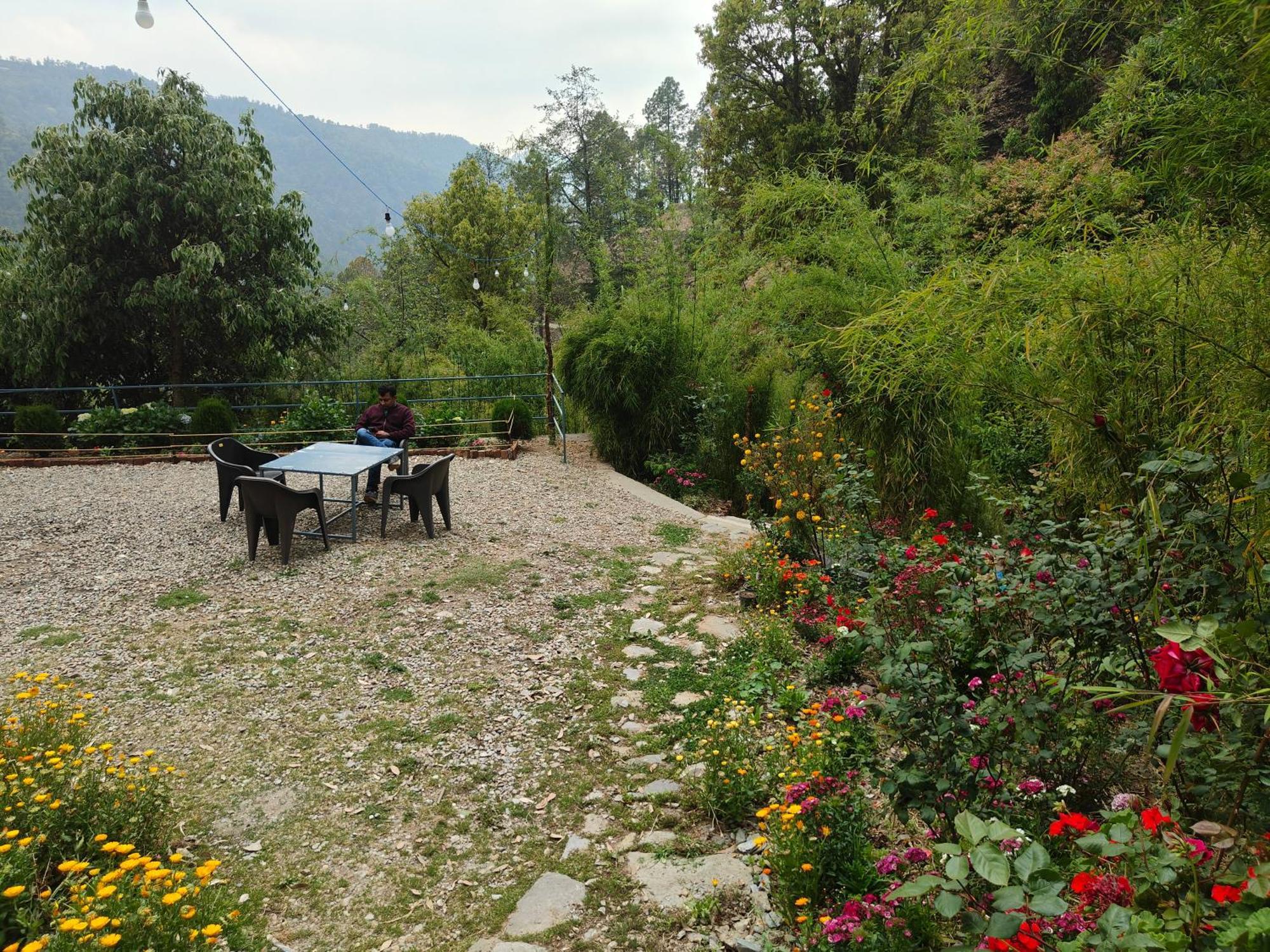 Himwanderer Camps & Cottages Pangot Nainital Zewnętrze zdjęcie